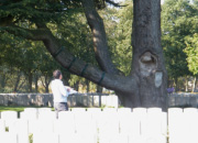 Commonwealth Graves Commission