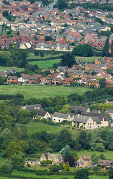 Trees and development